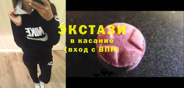 ECSTASY Богданович